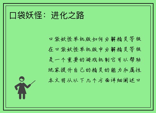 口袋妖怪：进化之路